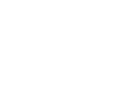 vye-valley-logo-white